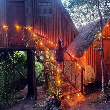 Sanctuaria Treehouses בוסואנגה מראה חיצוני תמונה
