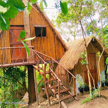 Sanctuaria Treehouses בוסואנגה מראה חיצוני תמונה