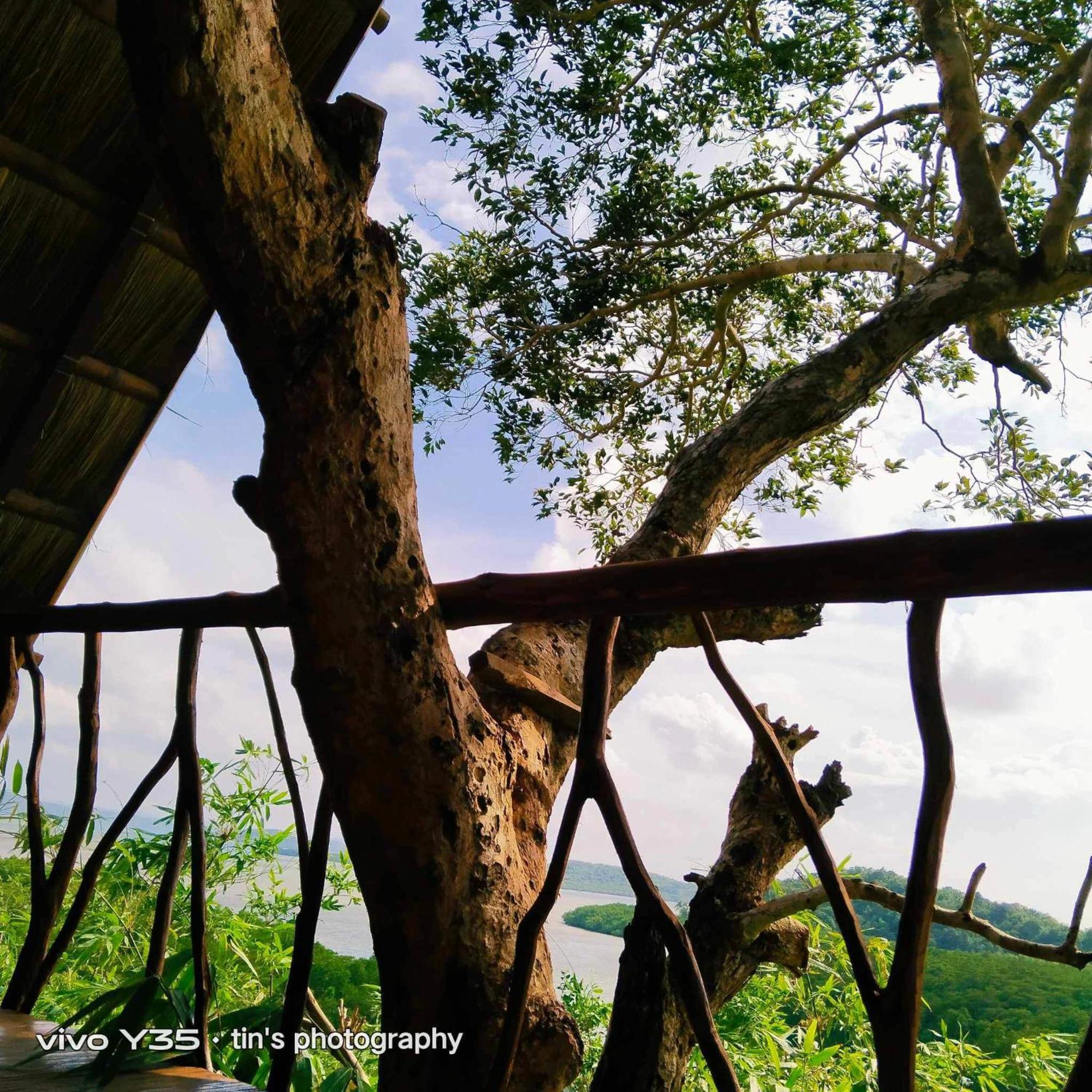 Sanctuaria Treehouses בוסואנגה מראה חיצוני תמונה