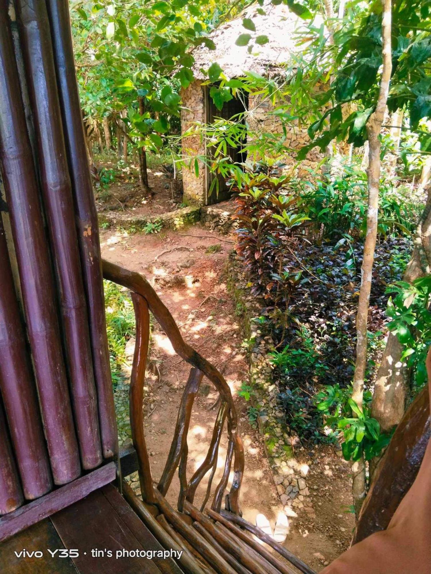 Sanctuaria Treehouses בוסואנגה מראה חיצוני תמונה