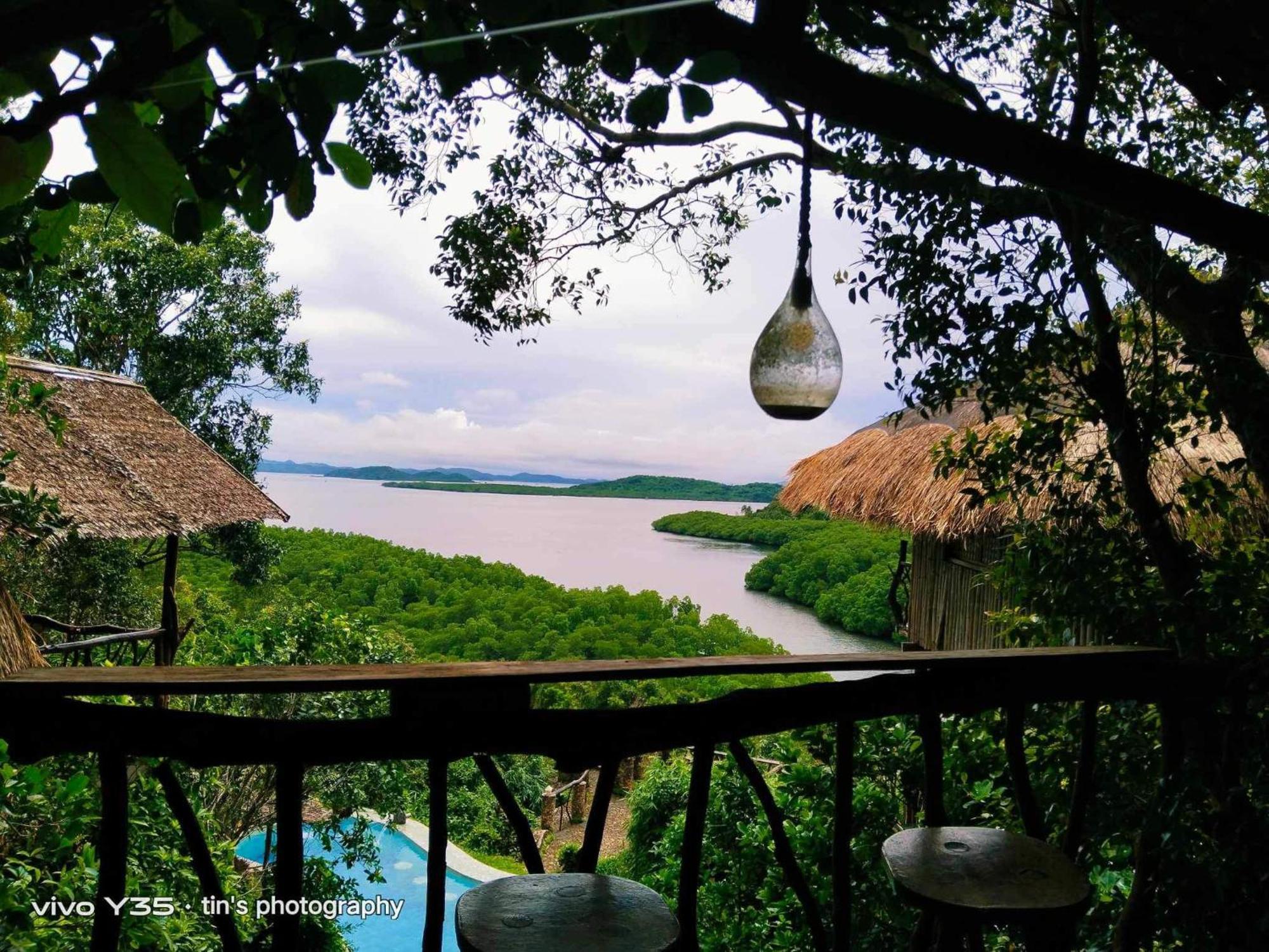 Sanctuaria Treehouses בוסואנגה מראה חיצוני תמונה