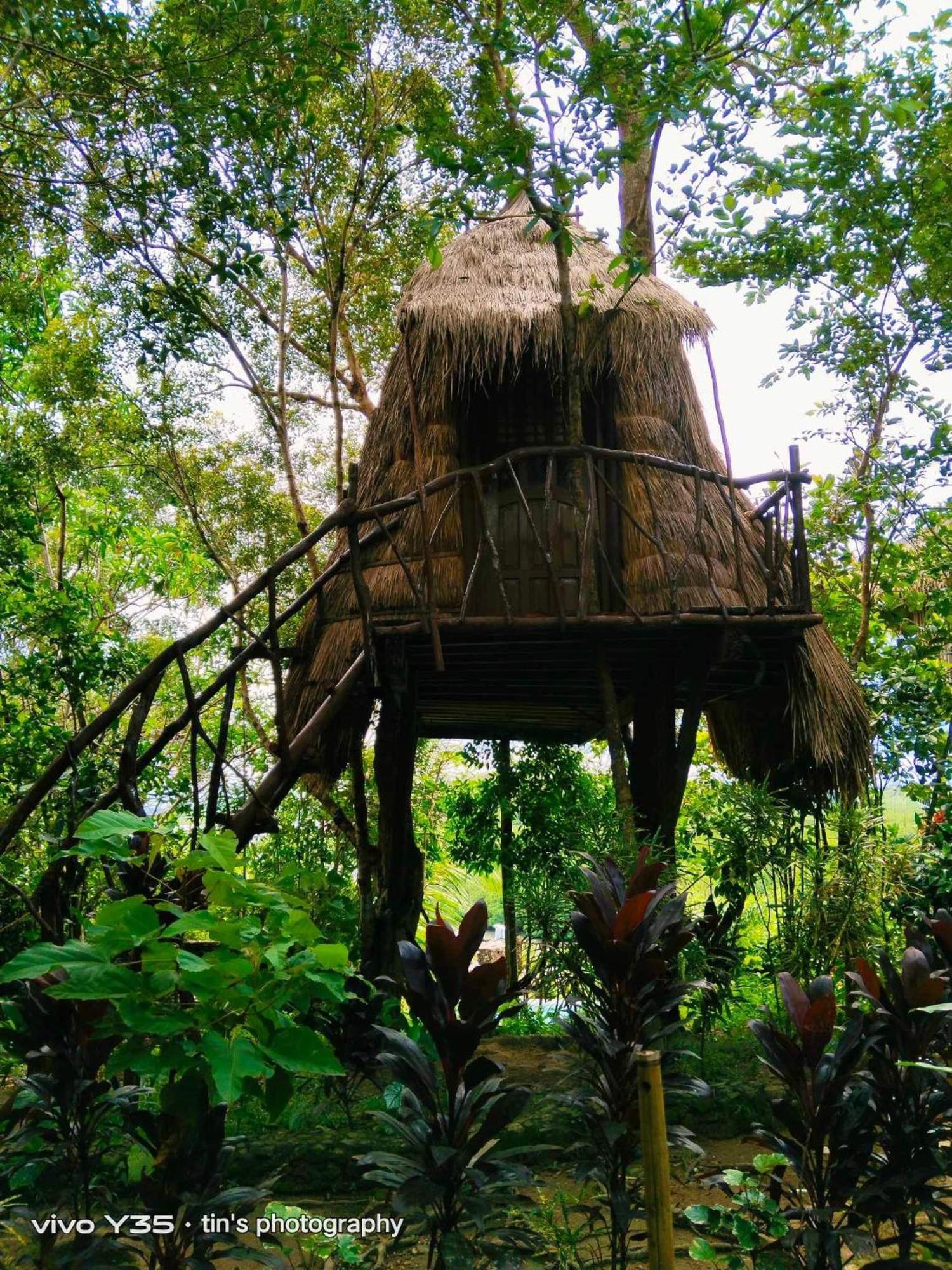 Sanctuaria Treehouses בוסואנגה מראה חיצוני תמונה
