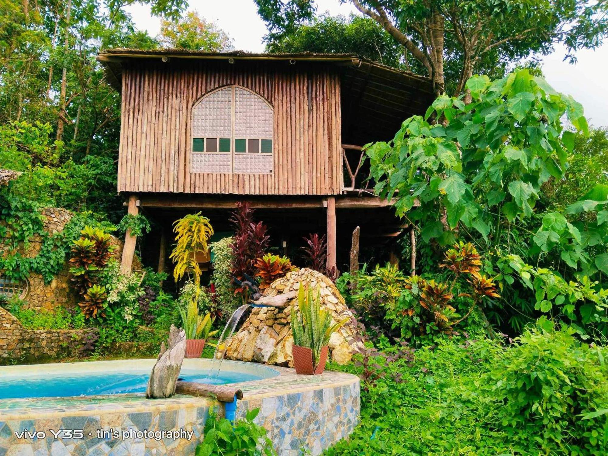 Sanctuaria Treehouses בוסואנגה מראה חיצוני תמונה