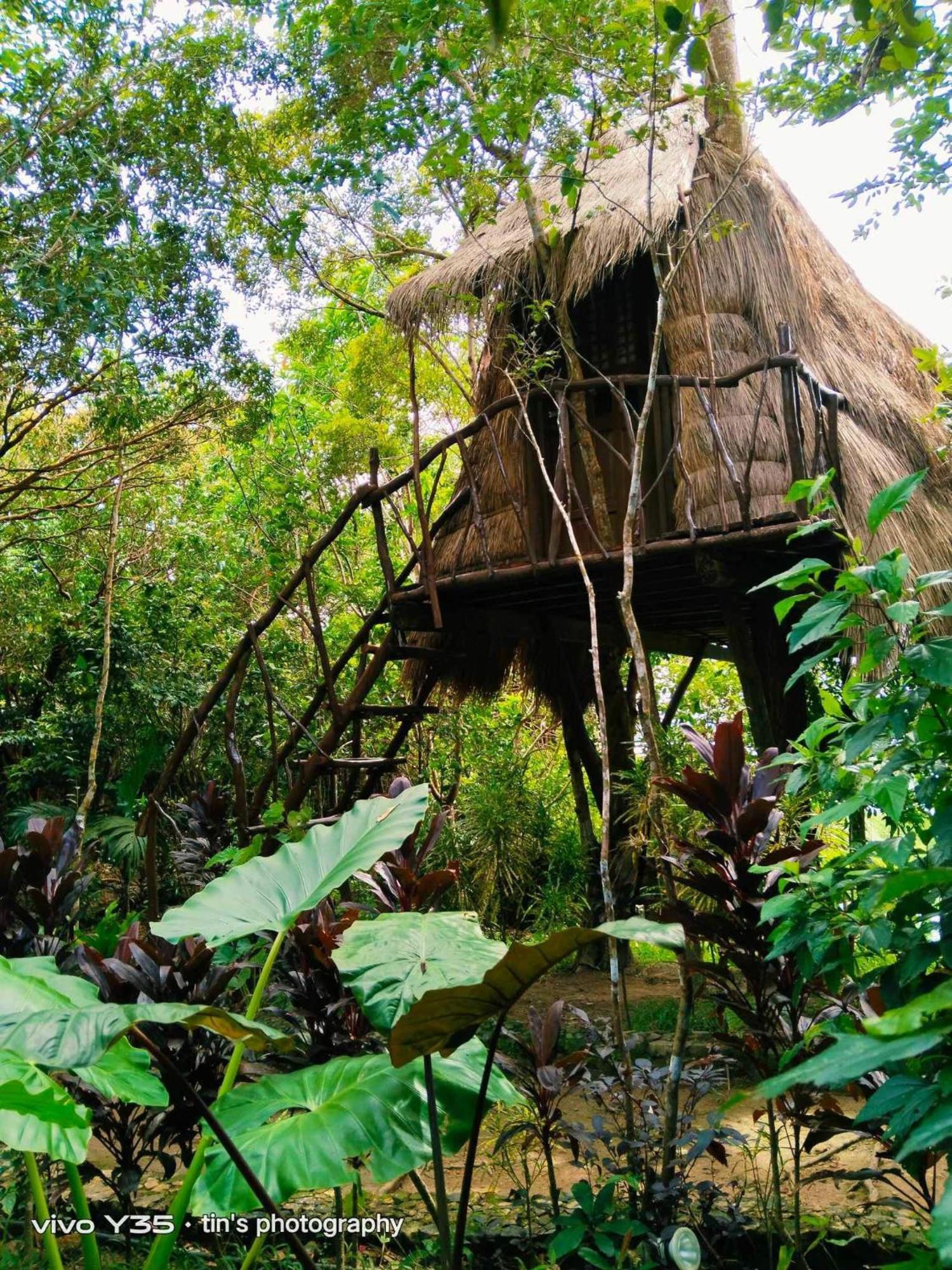 Sanctuaria Treehouses בוסואנגה מראה חיצוני תמונה