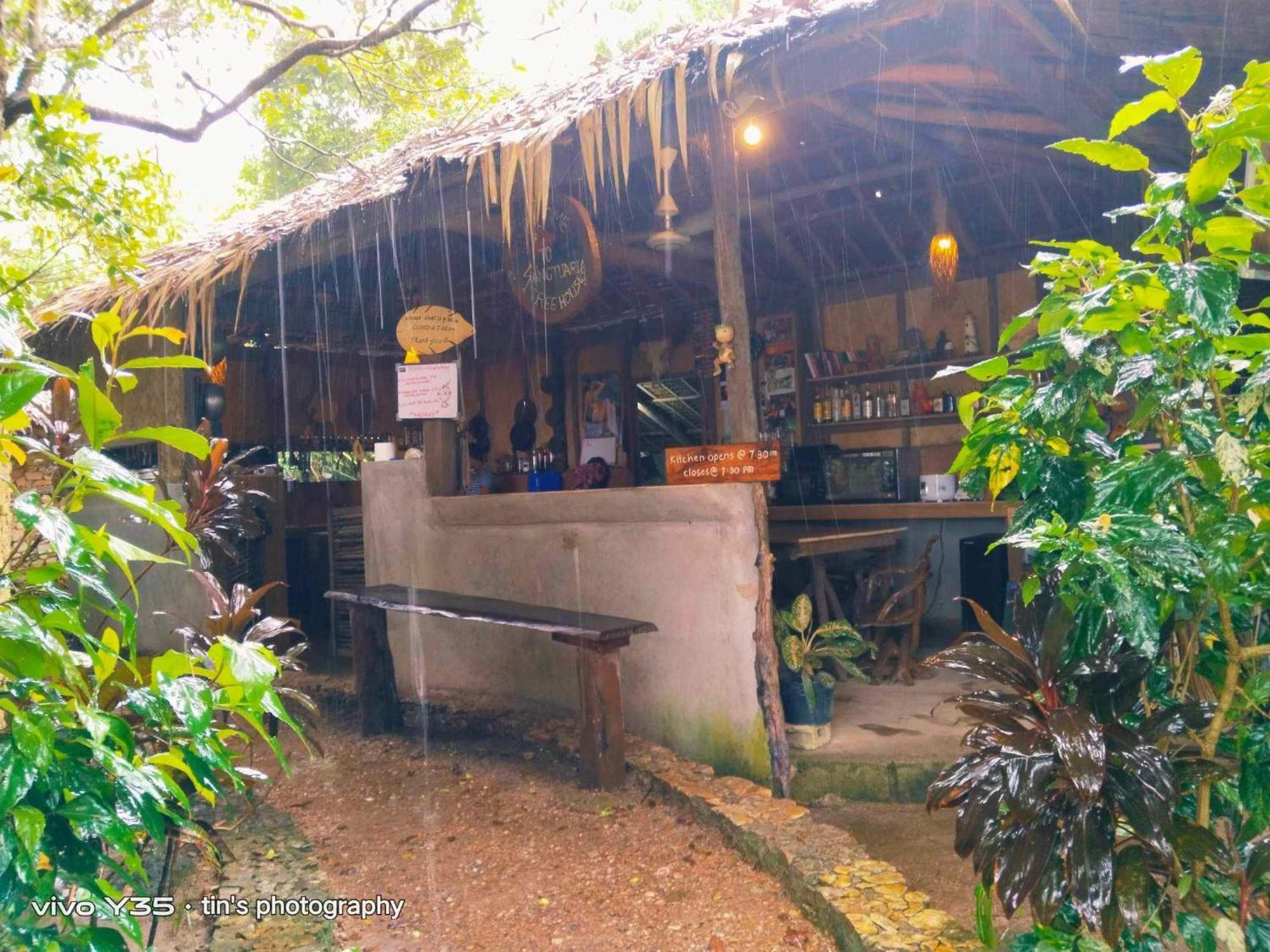 Sanctuaria Treehouses בוסואנגה מראה חיצוני תמונה