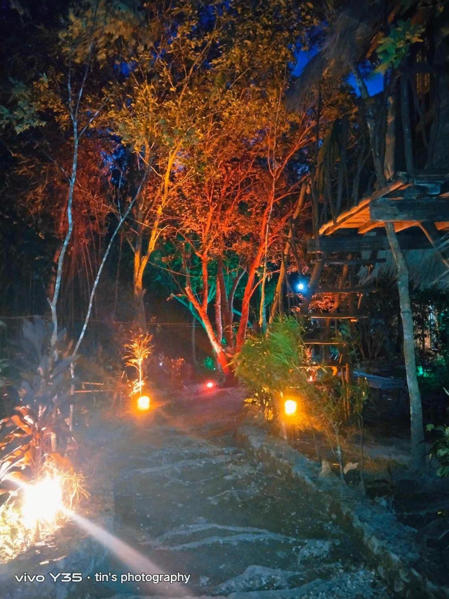 Sanctuaria Treehouses בוסואנגה מראה חיצוני תמונה