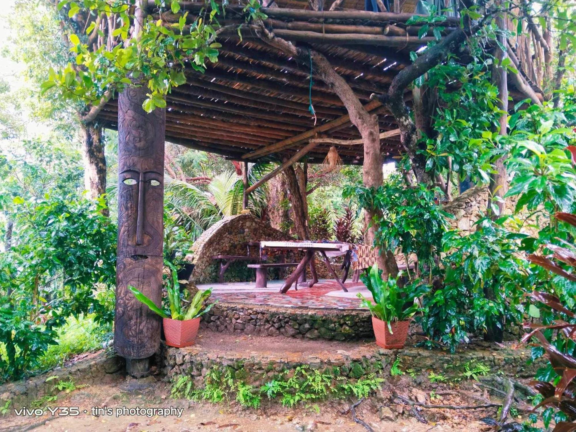 Sanctuaria Treehouses בוסואנגה מראה חיצוני תמונה