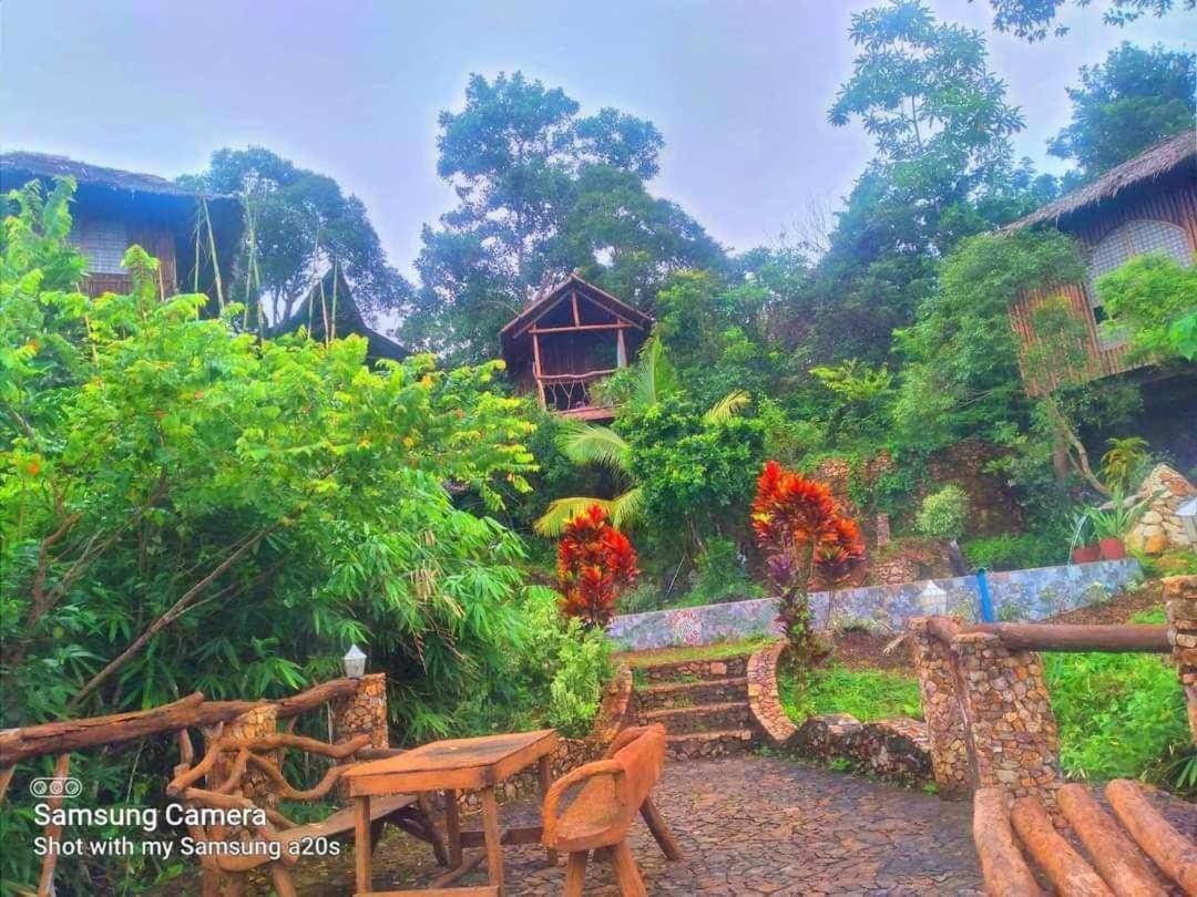 Sanctuaria Treehouses בוסואנגה מראה חיצוני תמונה