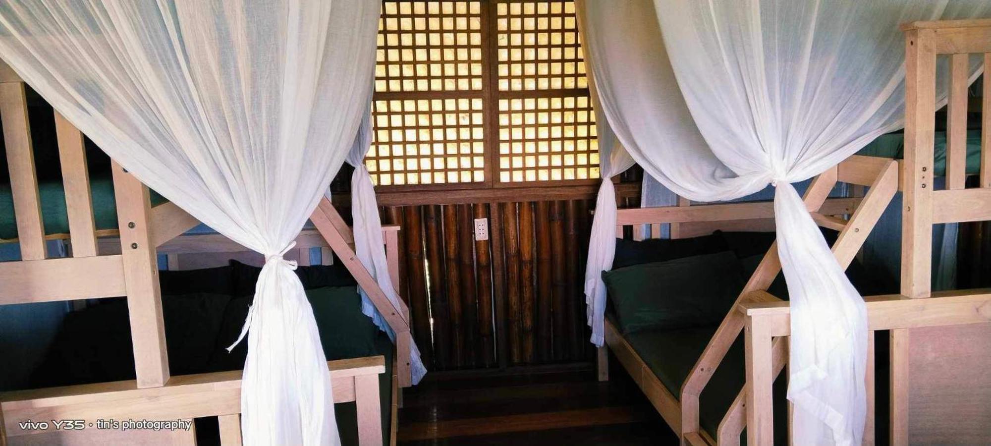 Sanctuaria Treehouses בוסואנגה מראה חיצוני תמונה