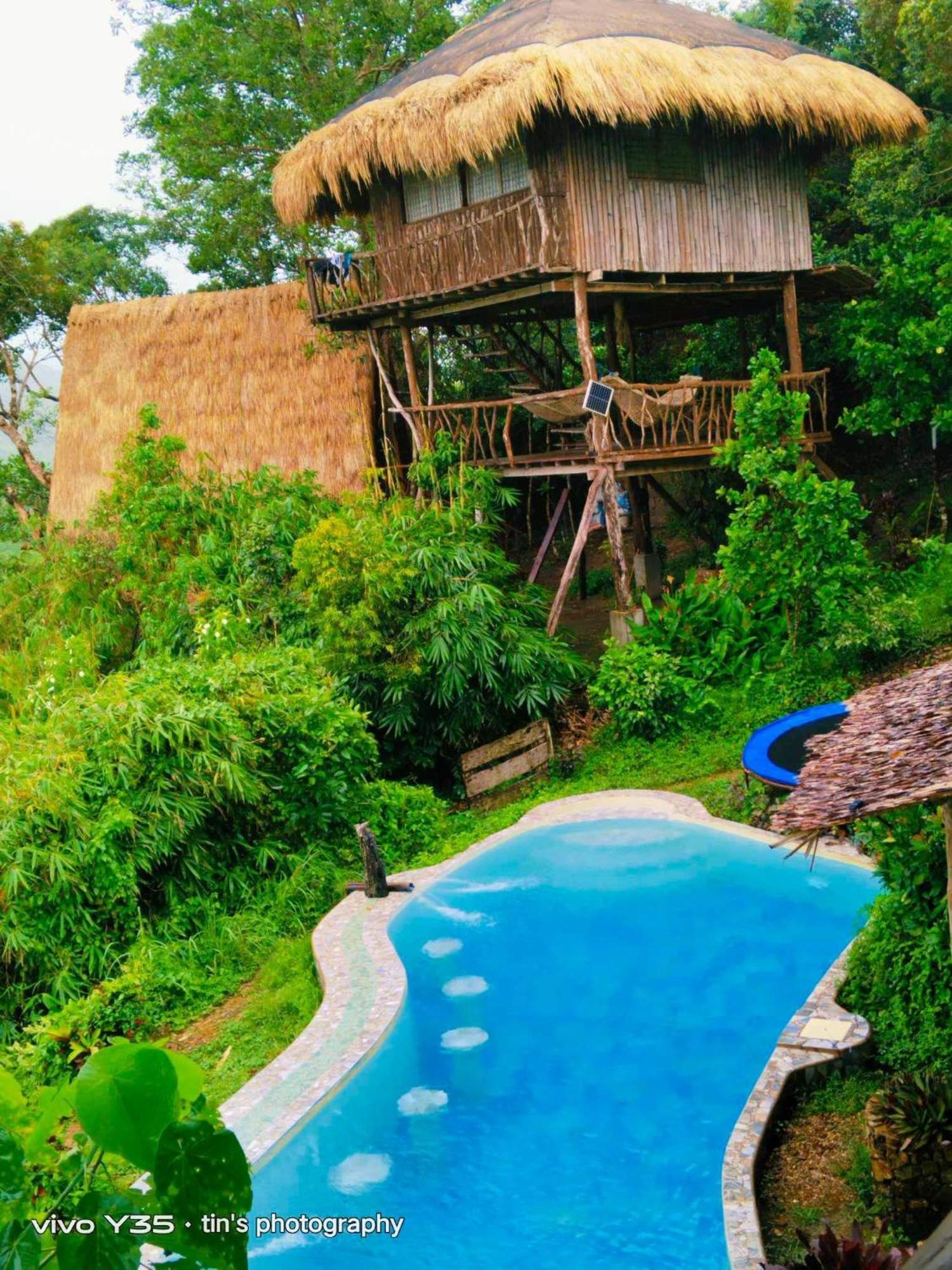 Sanctuaria Treehouses בוסואנגה מראה חיצוני תמונה