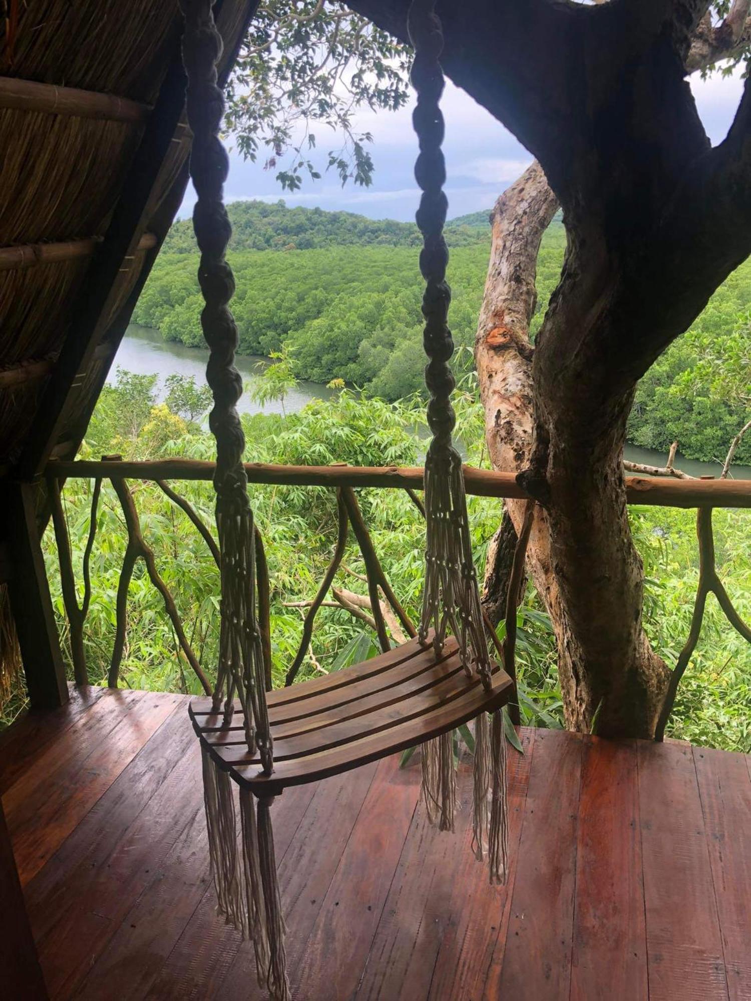 Sanctuaria Treehouses בוסואנגה מראה חיצוני תמונה