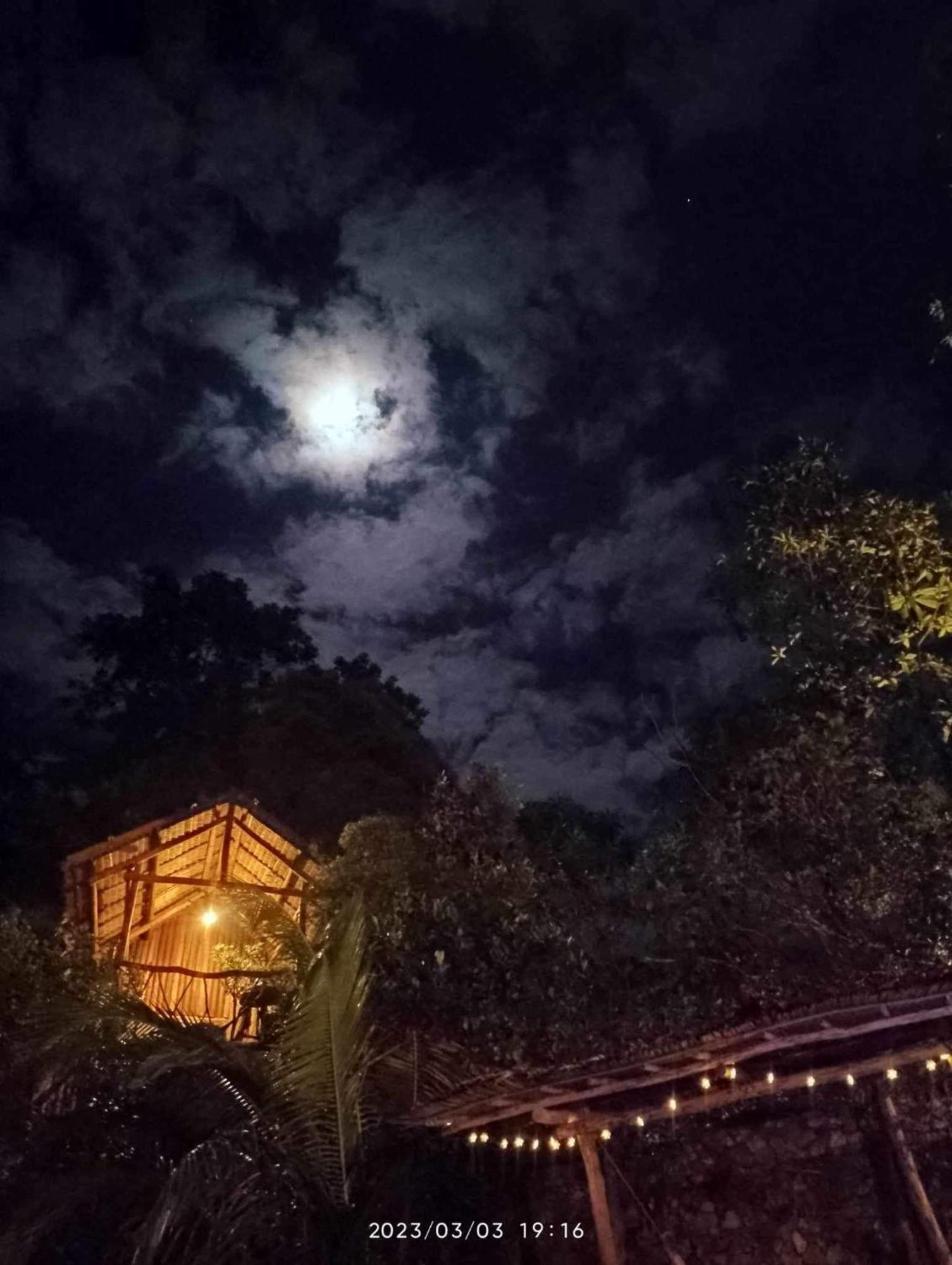 Sanctuaria Treehouses בוסואנגה מראה חיצוני תמונה