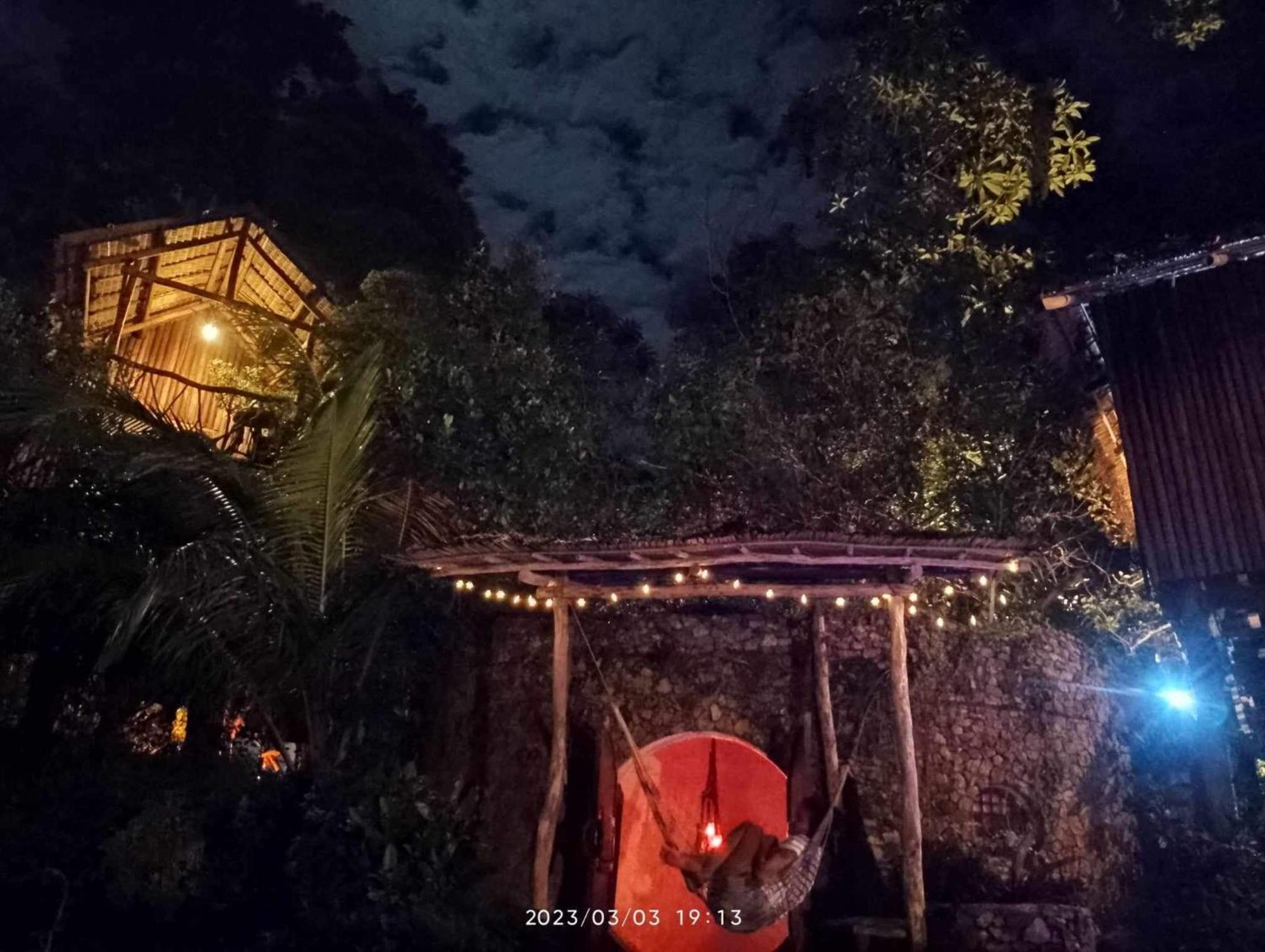 Sanctuaria Treehouses בוסואנגה מראה חיצוני תמונה