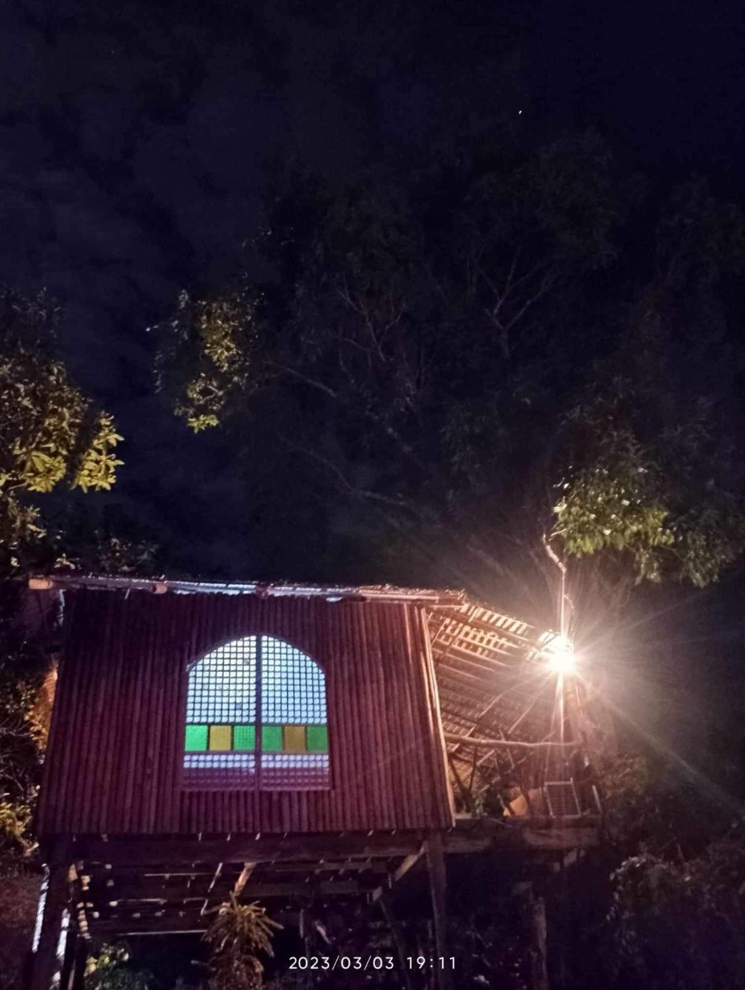 Sanctuaria Treehouses בוסואנגה מראה חיצוני תמונה