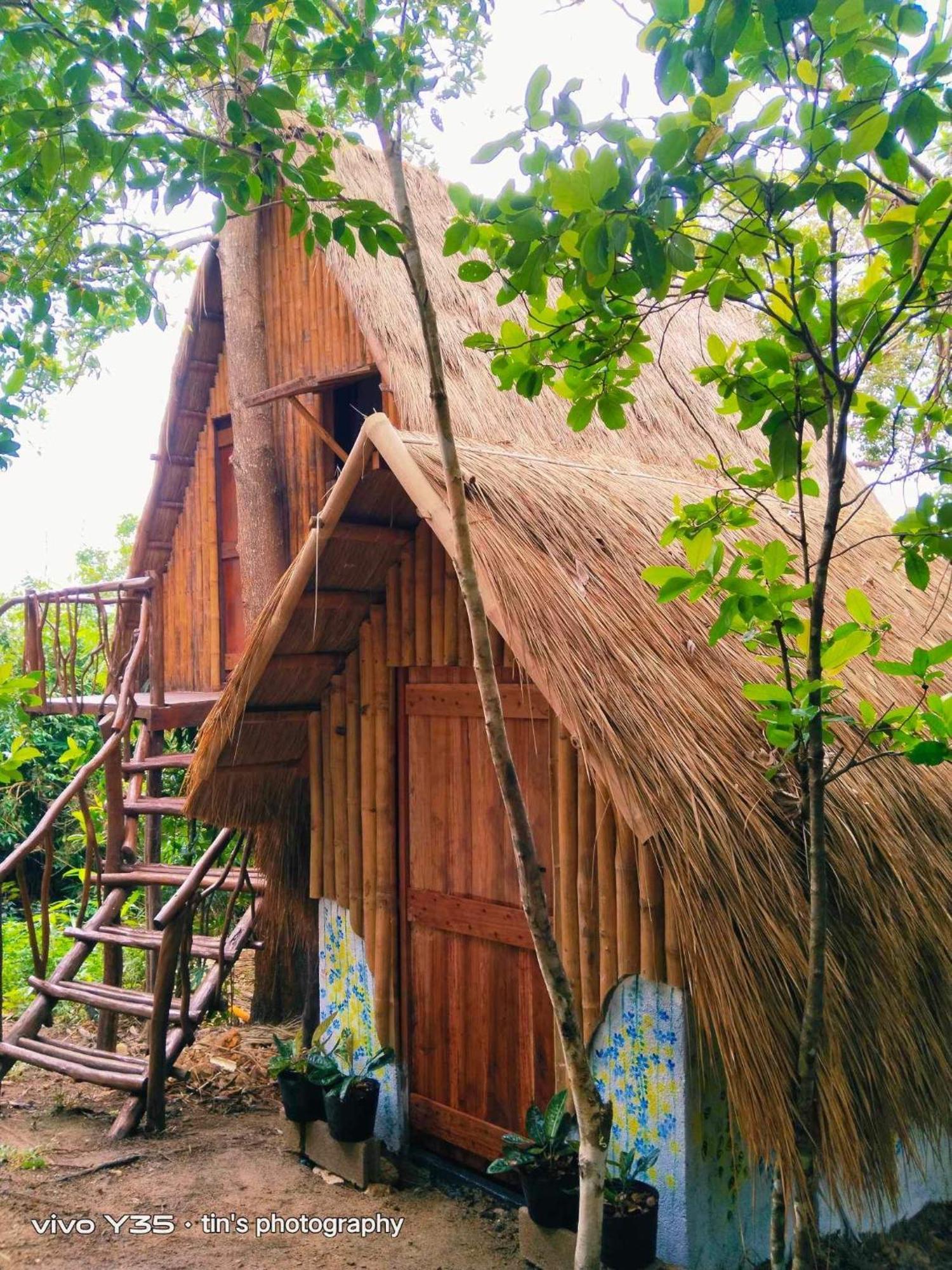 Sanctuaria Treehouses בוסואנגה מראה חיצוני תמונה