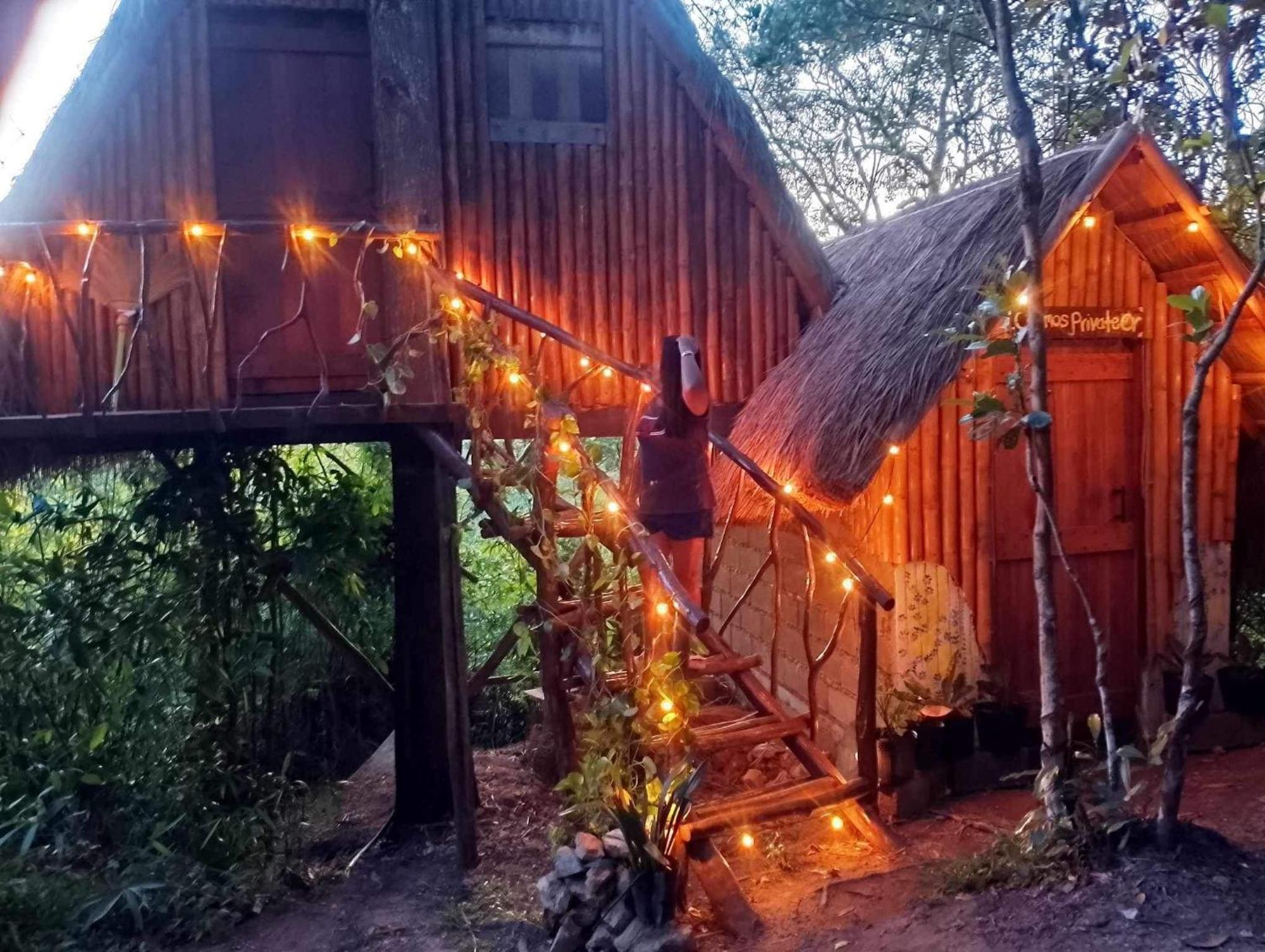 Sanctuaria Treehouses בוסואנגה מראה חיצוני תמונה