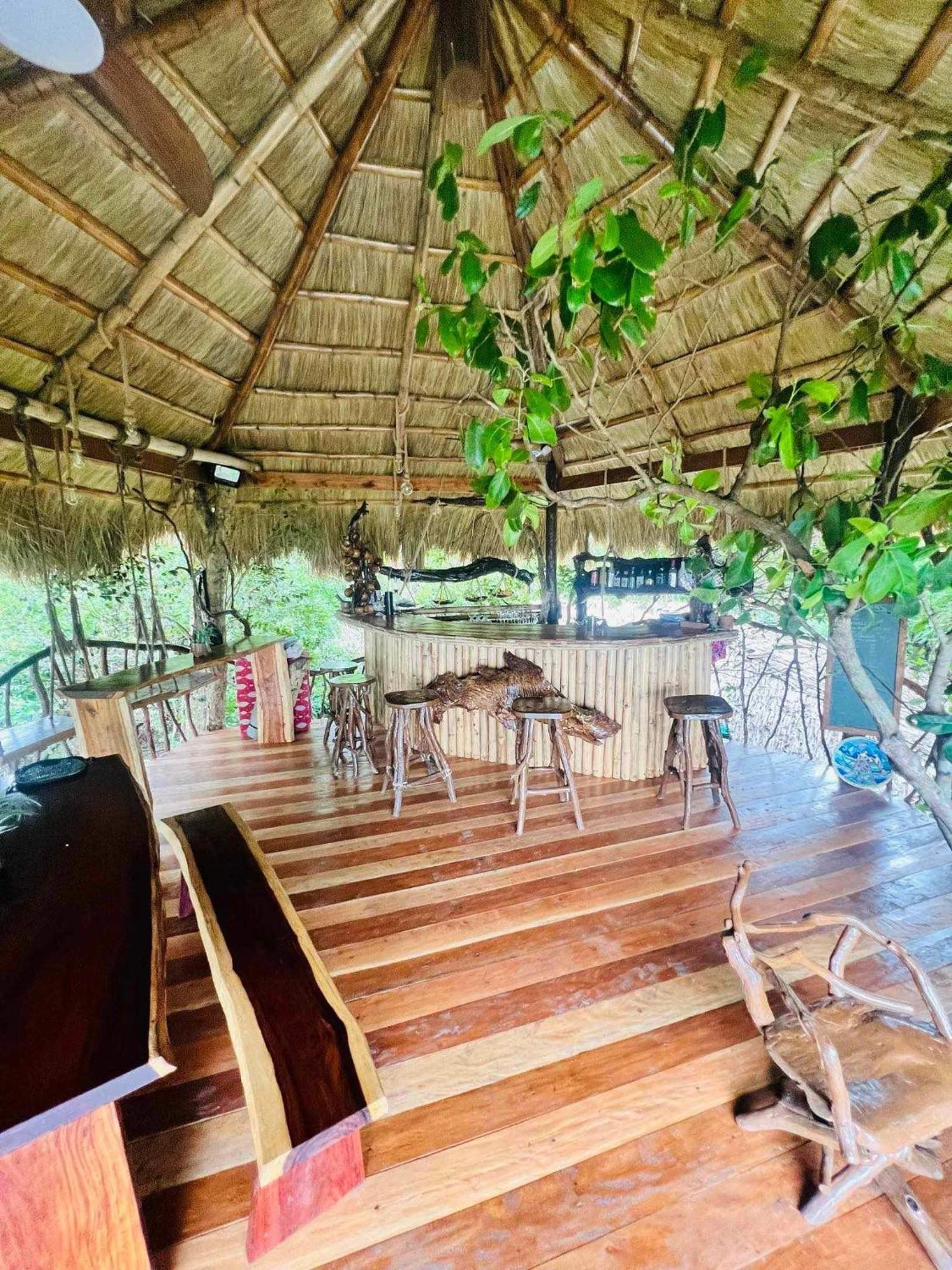Sanctuaria Treehouses בוסואנגה מראה חיצוני תמונה