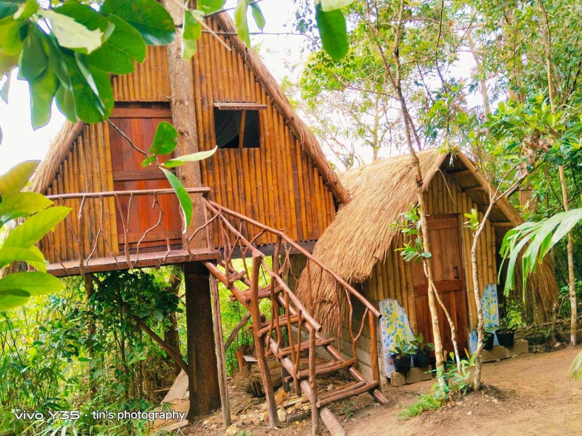 Sanctuaria Treehouses בוסואנגה מראה חיצוני תמונה