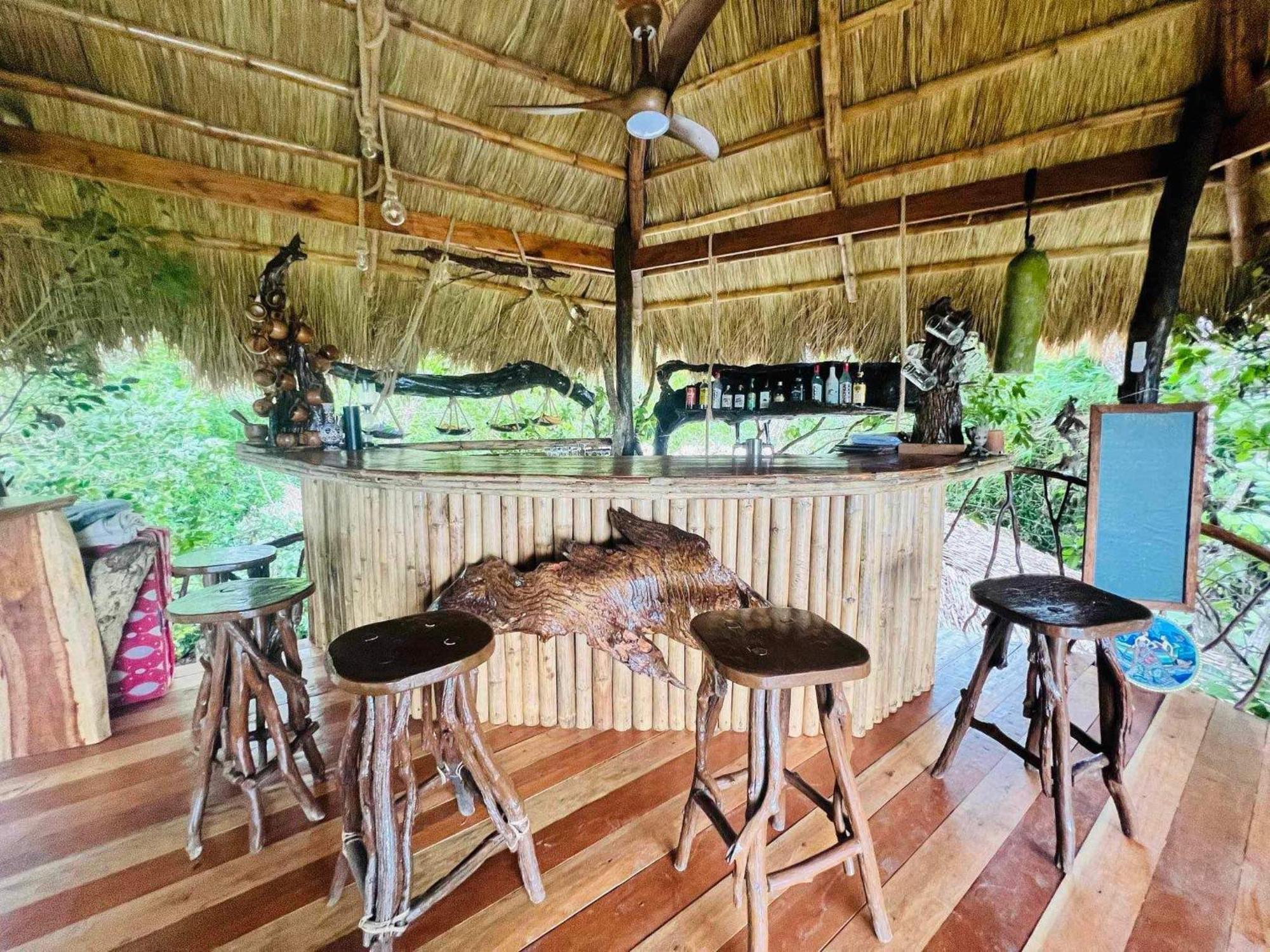 Sanctuaria Treehouses בוסואנגה מראה חיצוני תמונה